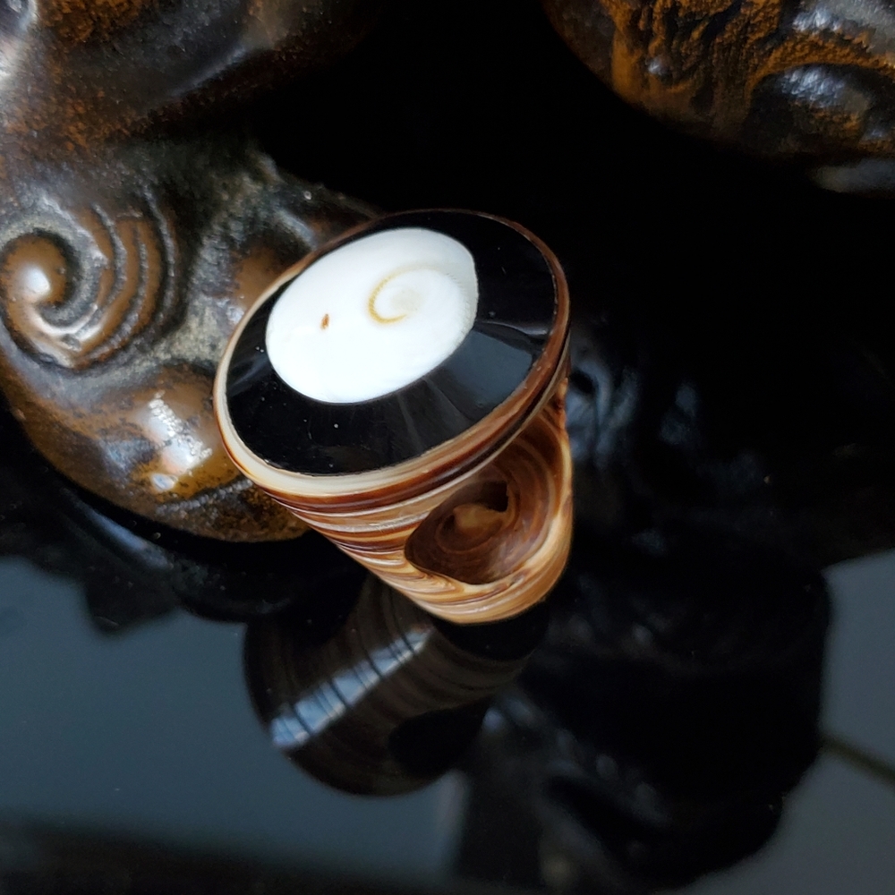 Carved Seashell Spiral Ring Statement Mermaid Cor… - image 2